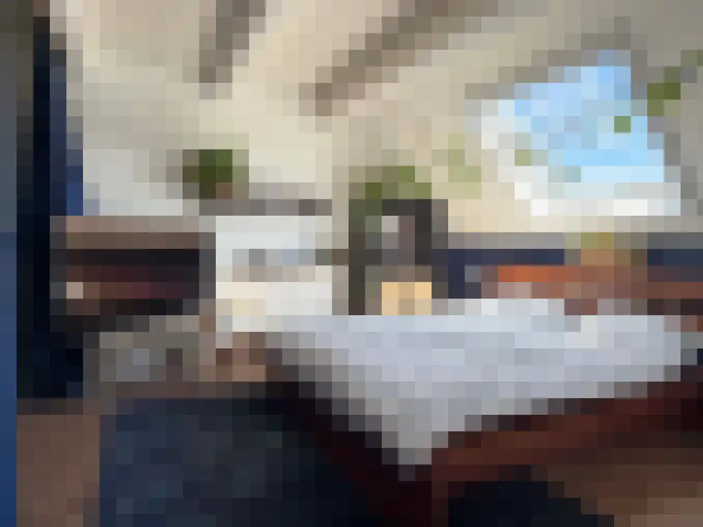 van Echtenlaan 19 Coevorden thumbnail 31