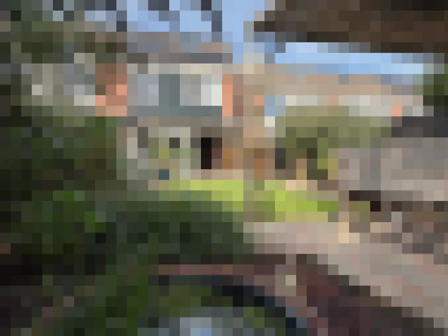 van Echtenlaan 27 Coevorden thumbnail 17