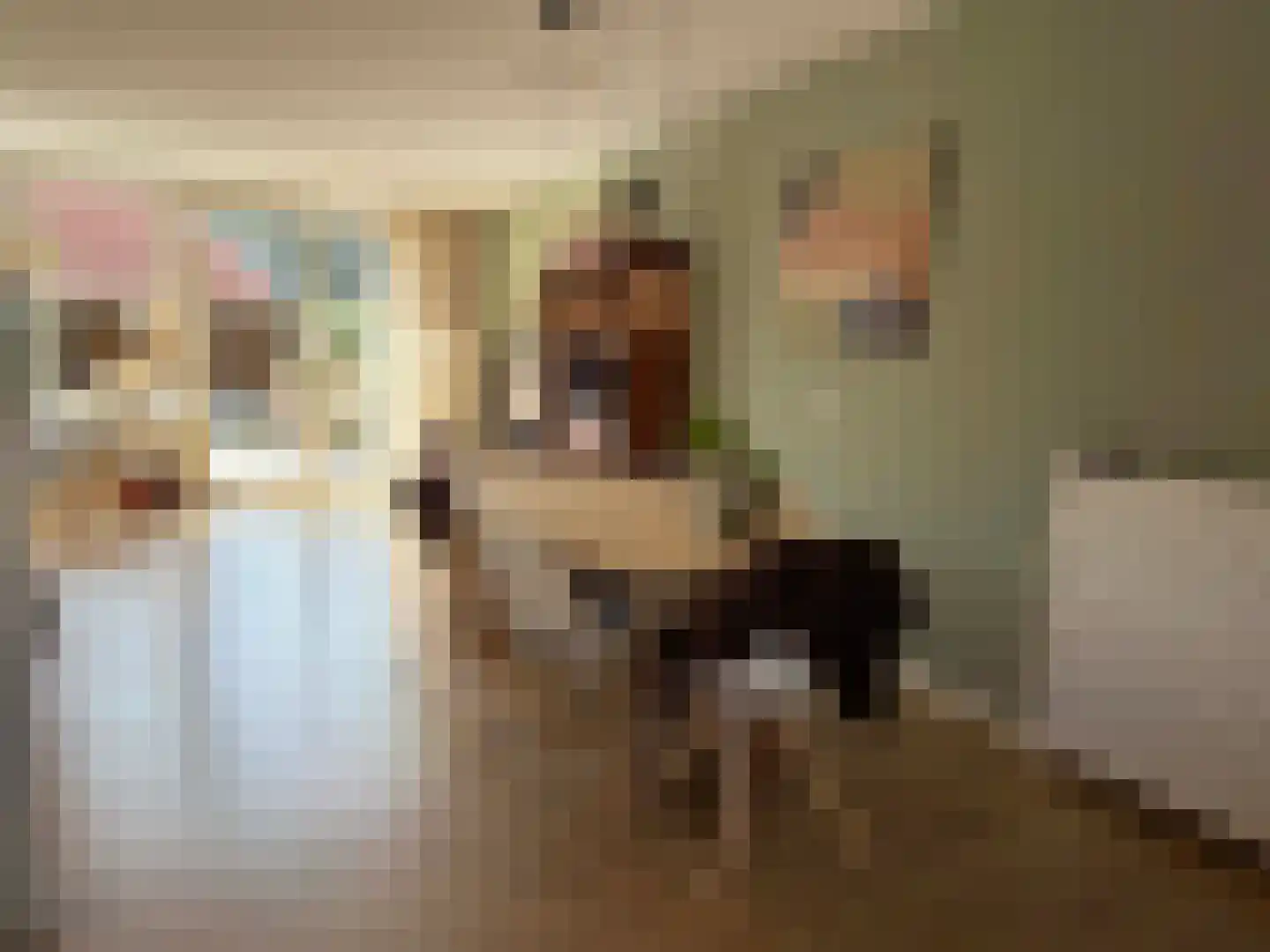 van Echtenlaan 7 Coevorden thumbnail 14