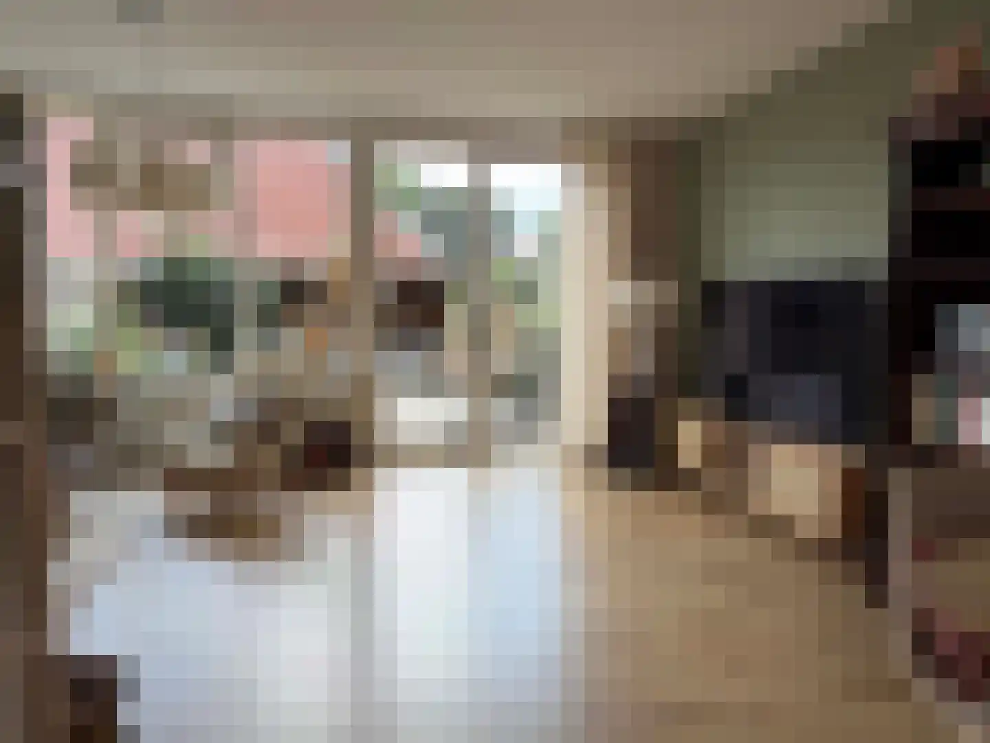 van Echtenlaan 7 Coevorden thumbnail 15