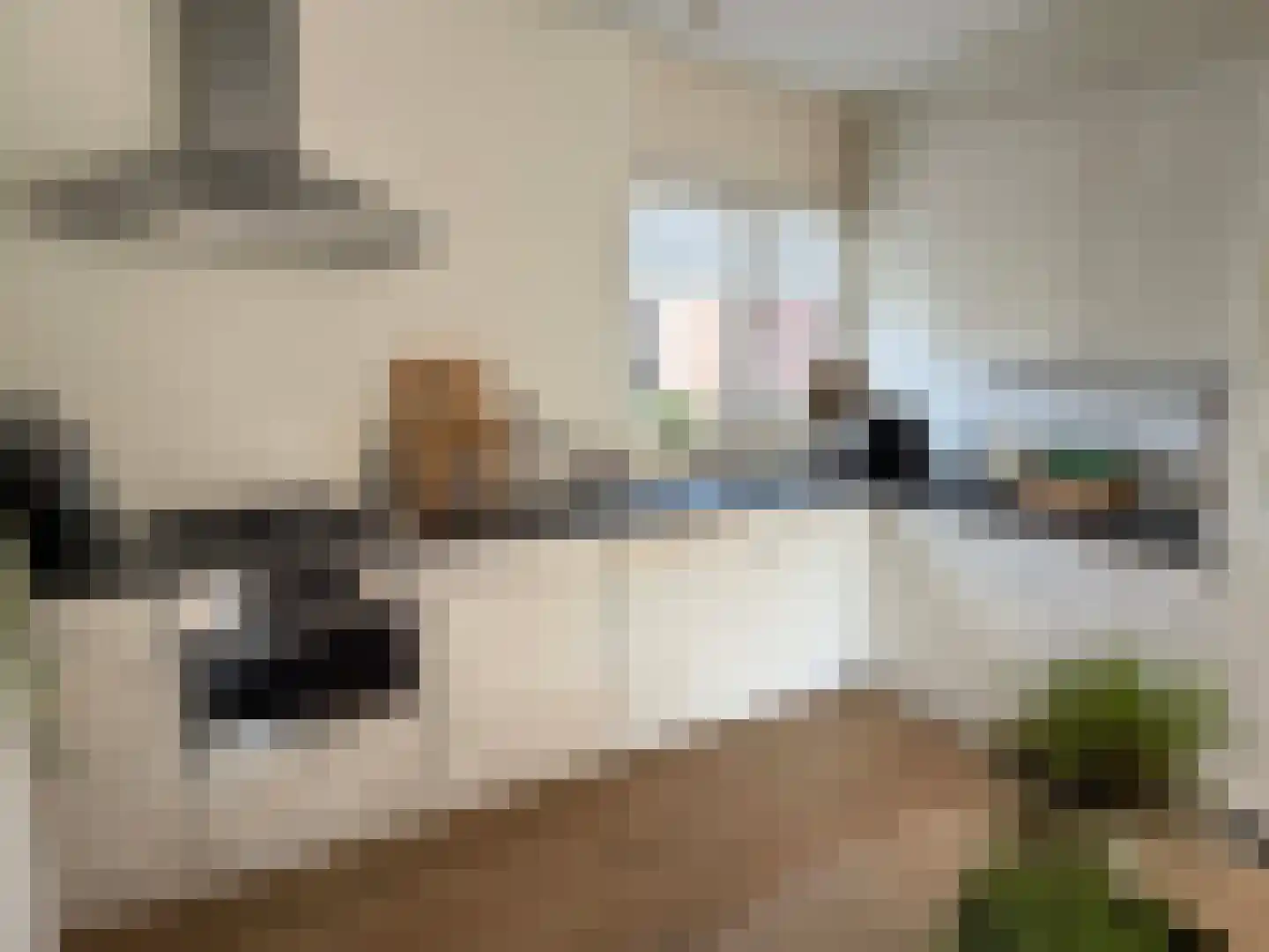 van Echtenlaan 7 Coevorden thumbnail 17