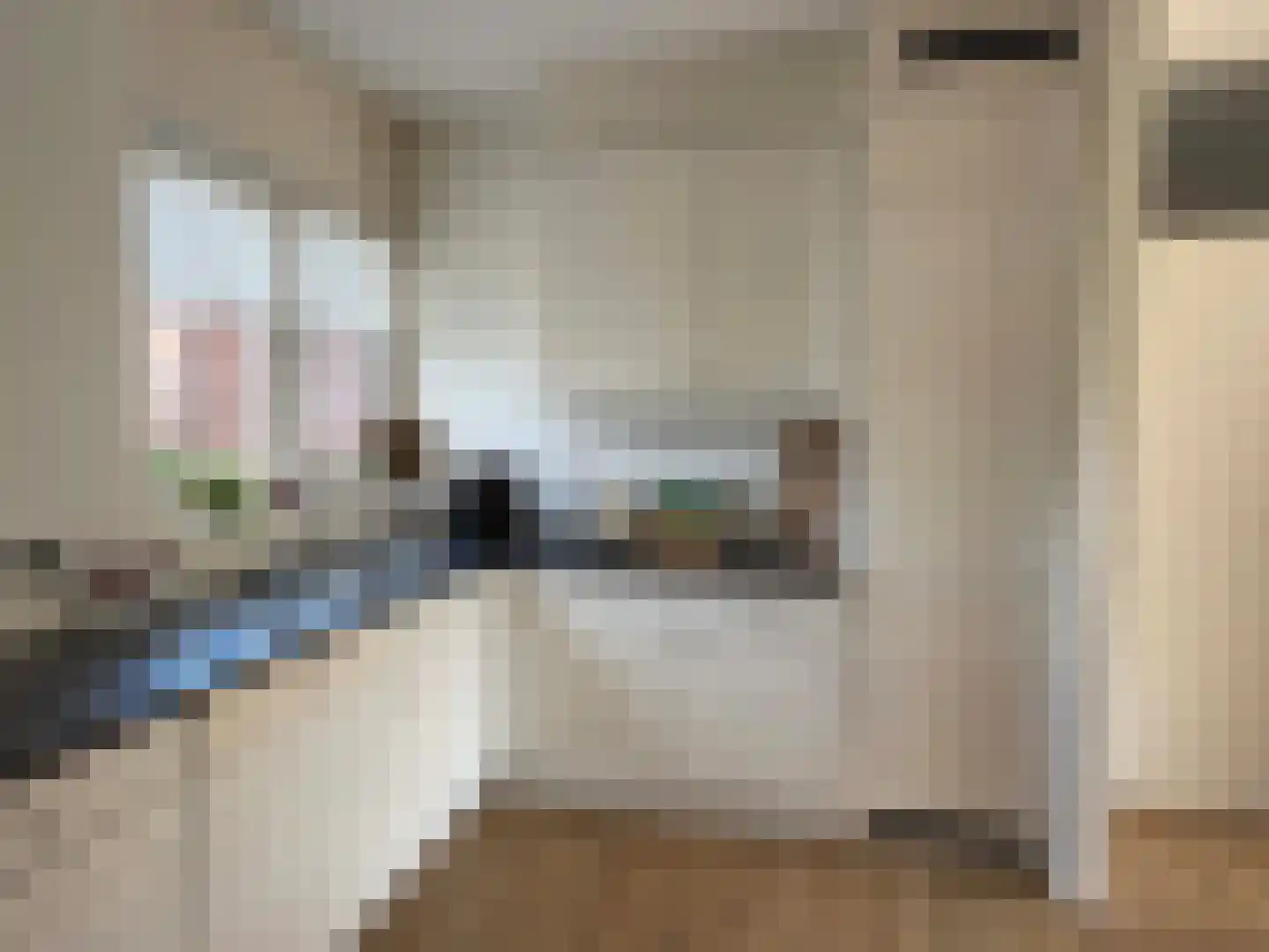 van Echtenlaan 7 Coevorden thumbnail 18