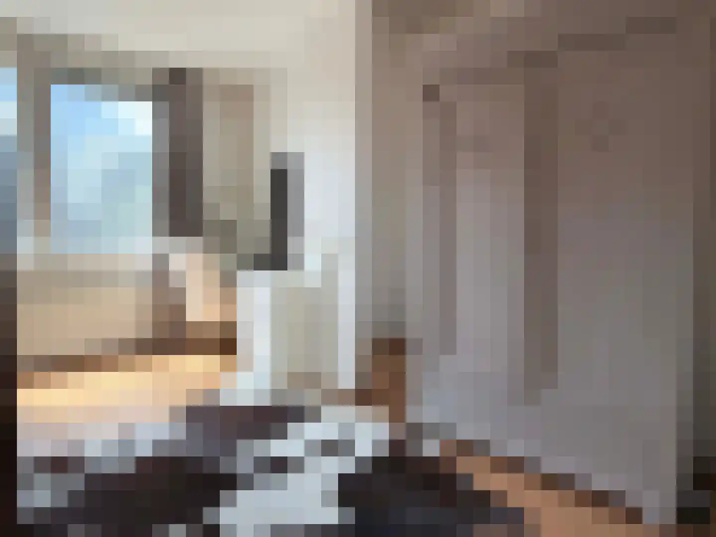 van Echtenlaan 7 Coevorden thumbnail 21