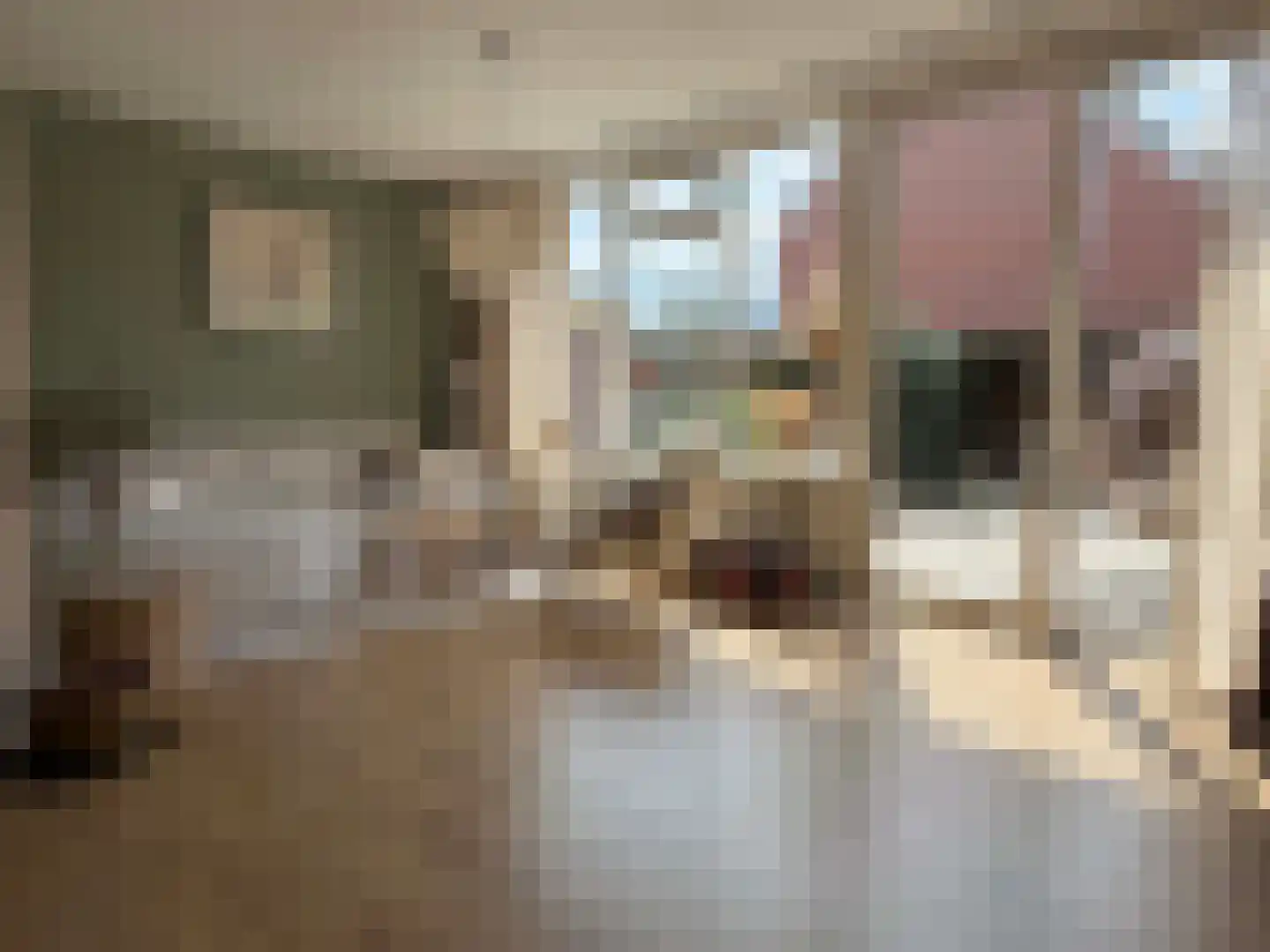 van Echtenlaan 7 Coevorden thumbnail 4