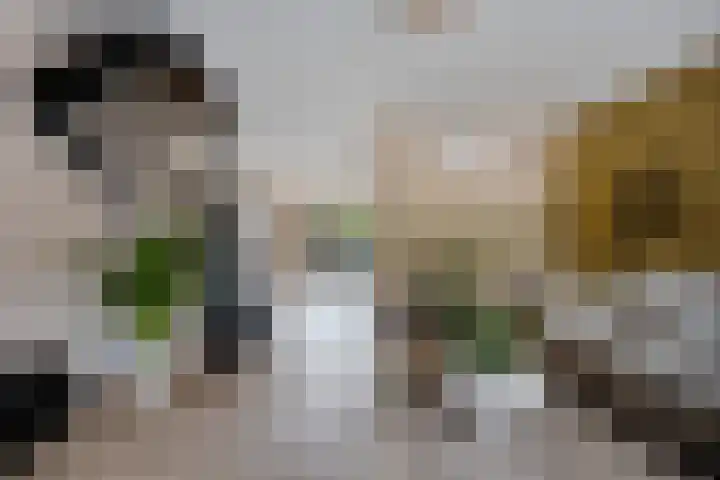 van Echtenlaan 82 Coevorden thumbnail 10