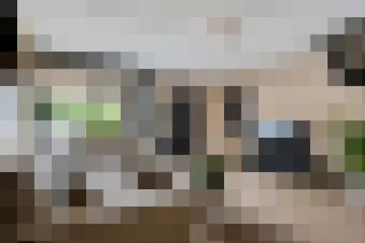 van Echtenlaan 82 Coevorden thumbnail 11