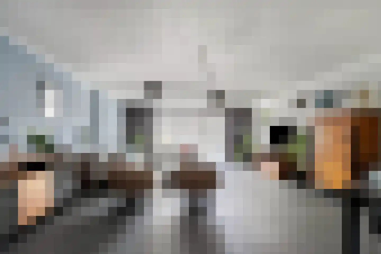 Van Echtenmarke 8 Zwolle thumbnail 11
