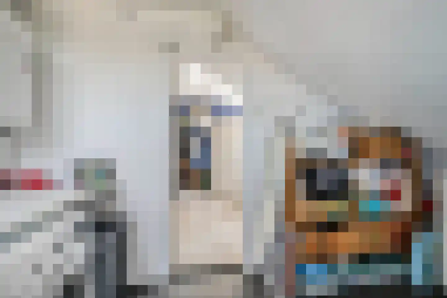 Van Echtenmarke 8 Zwolle thumbnail 27