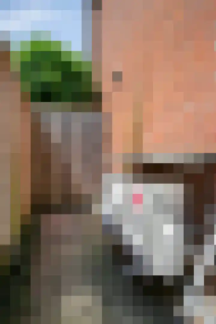 Van Echtenmarke 8 Zwolle thumbnail 36