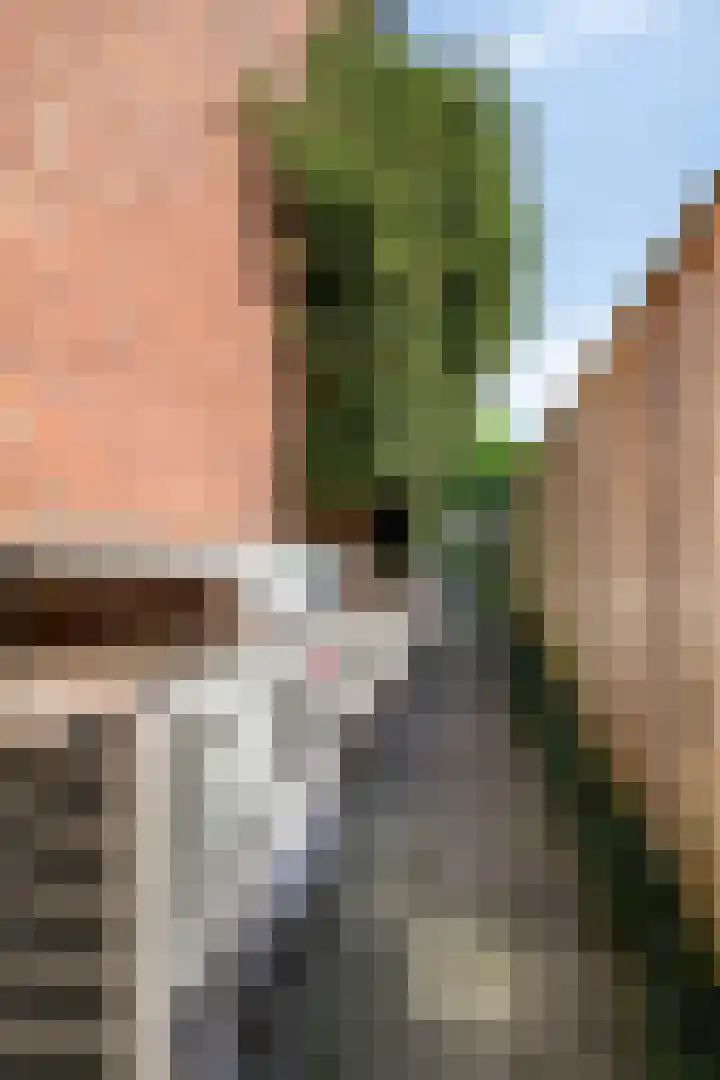 Van Echtenmarke 8 Zwolle thumbnail 37