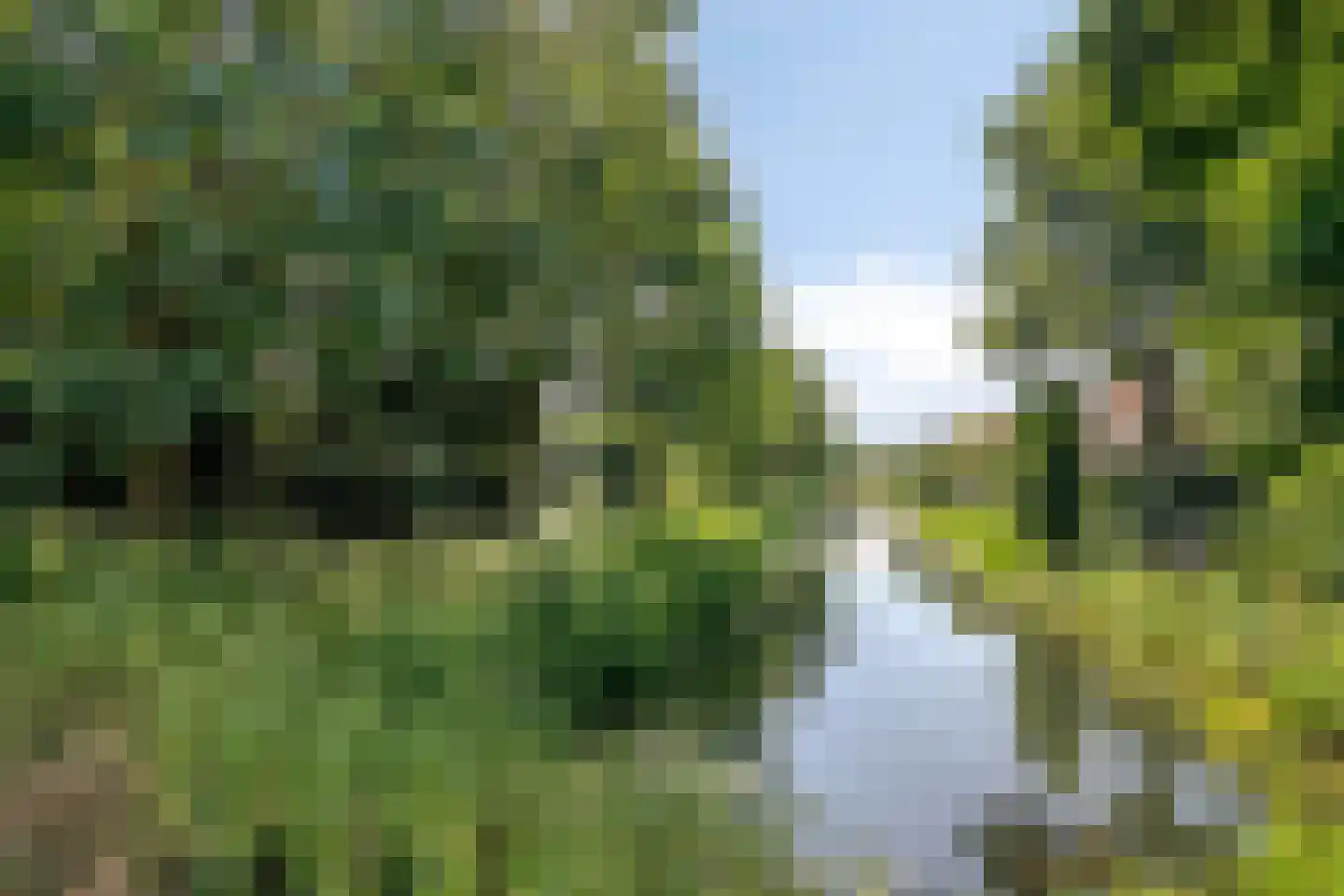 Van Echtenmarke 8 Zwolle thumbnail 42