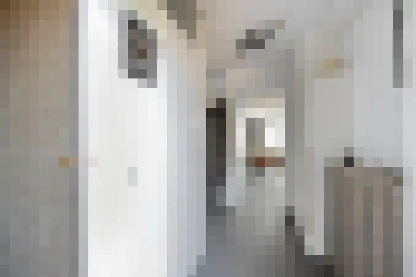 Van Echtenmarke 8 Zwolle thumbnail 5
