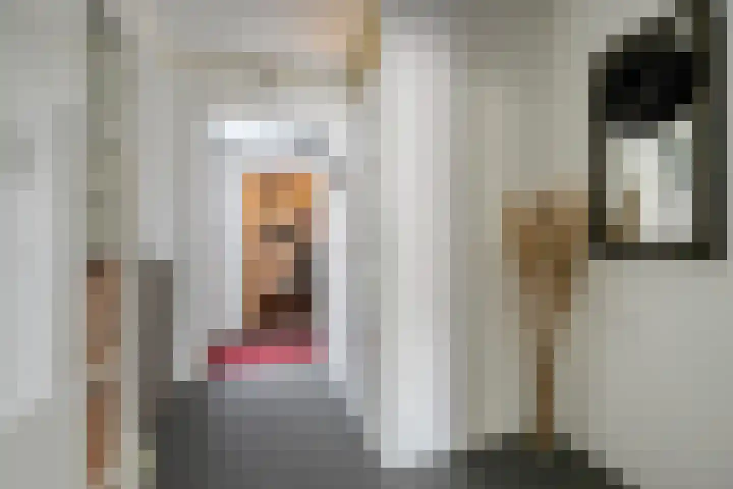 Van Echtenmarke 8 Zwolle thumbnail 7