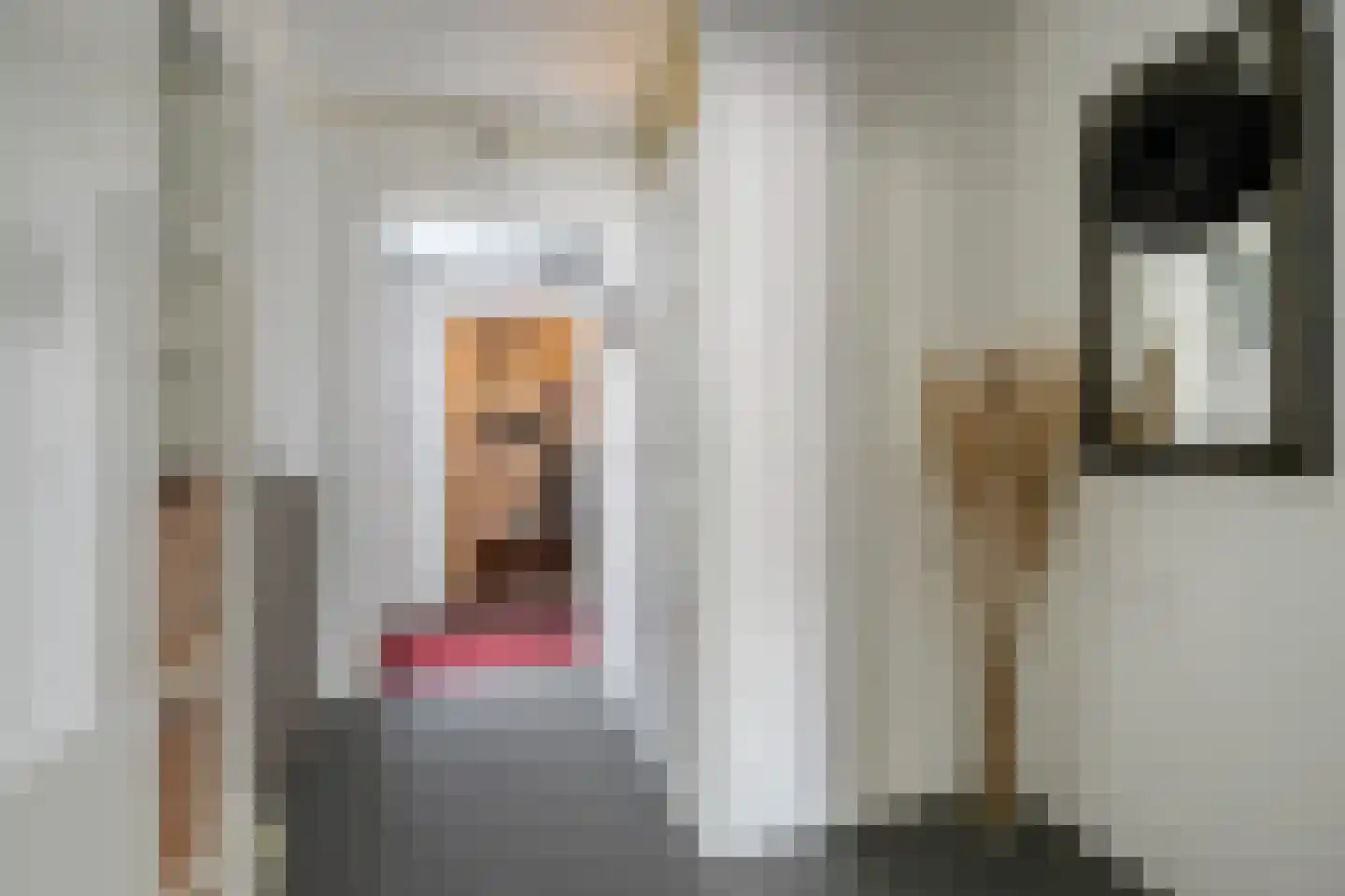 Van Echtenmarke 8 Zwolle thumbnail 7