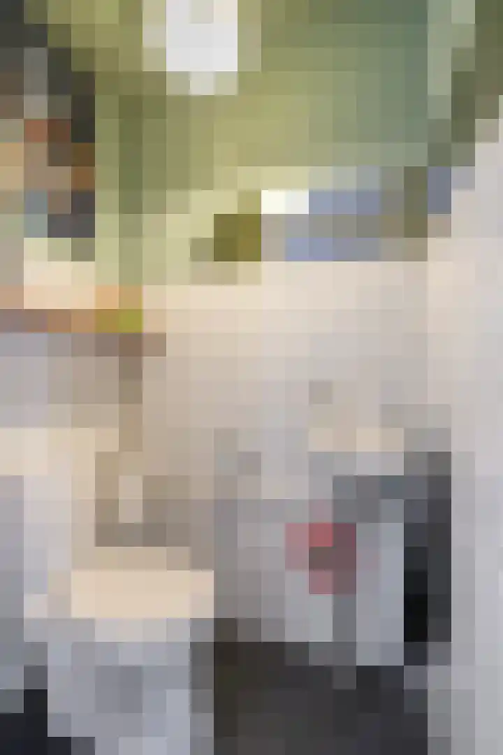 Van Echtenmarke 8 Zwolle thumbnail 9