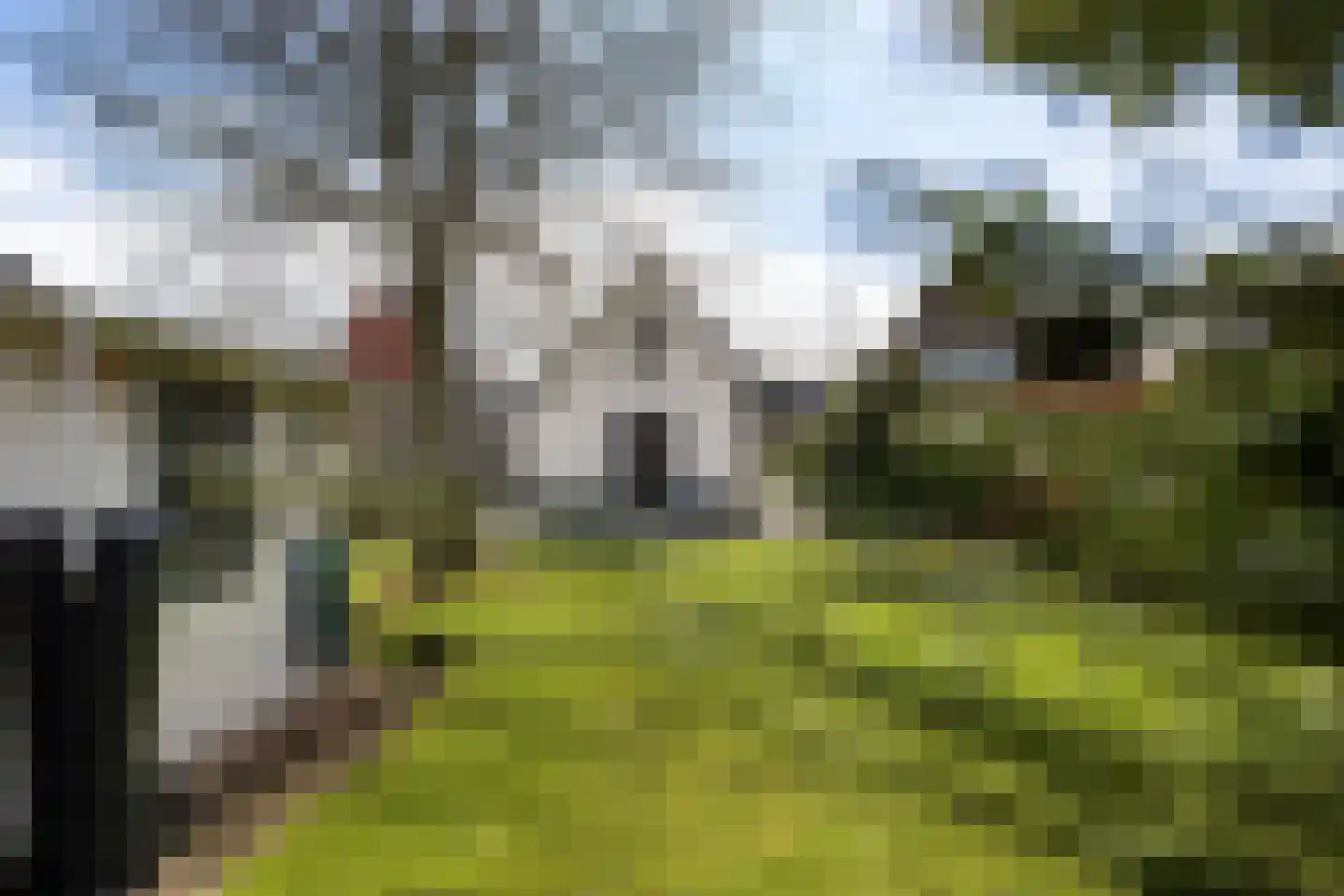 Van Echtenskanaal NZ 115 Klazienaveen thumbnail 54