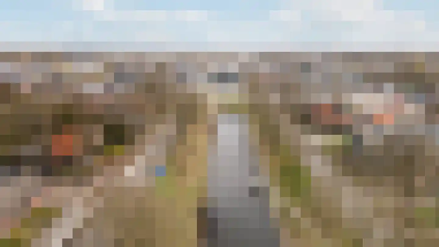 Van Echtenskanaal NZ 115 Klazienaveen thumbnail 60