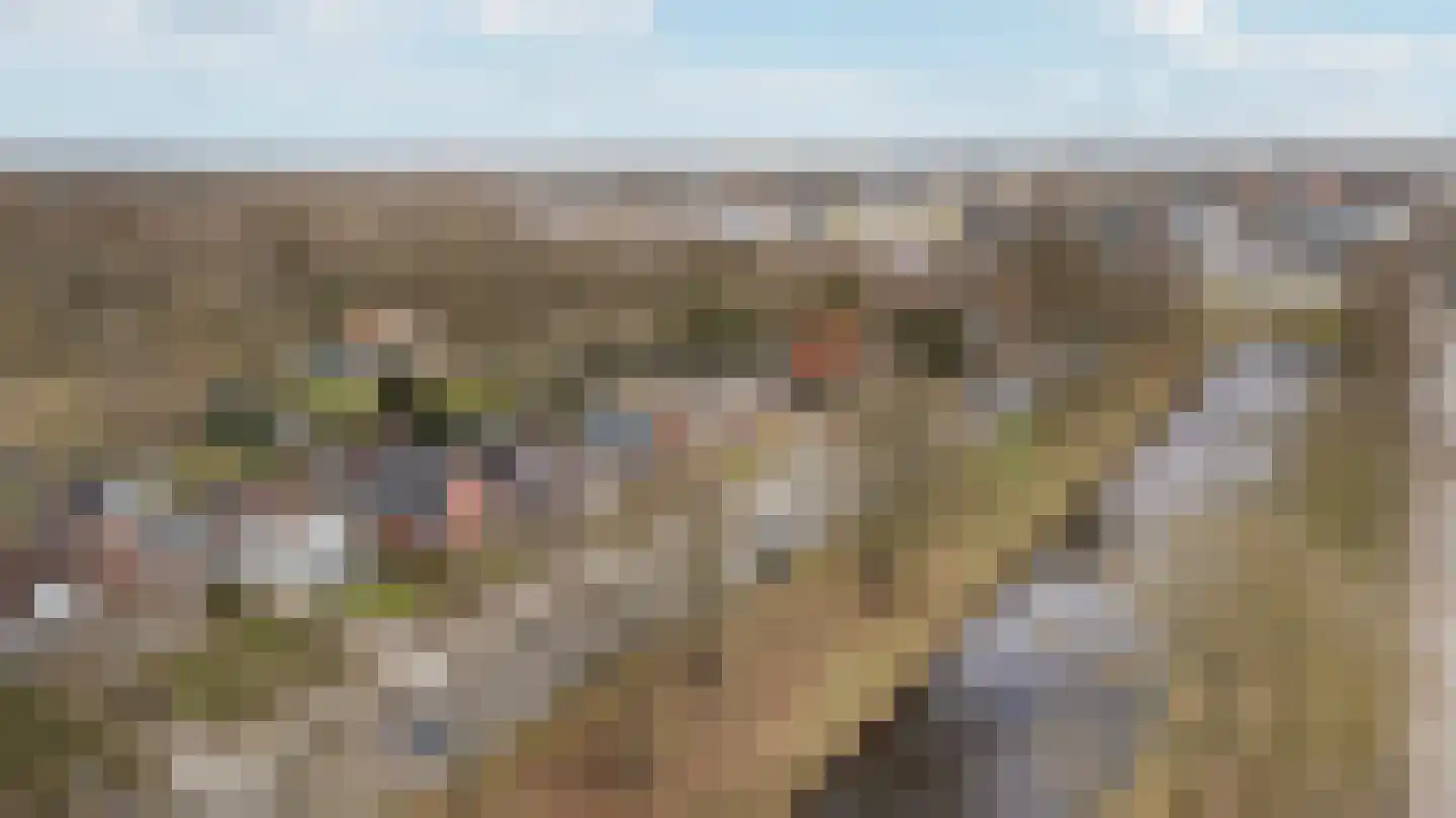 Van Echtenskanaal NZ 115 Klazienaveen thumbnail 61