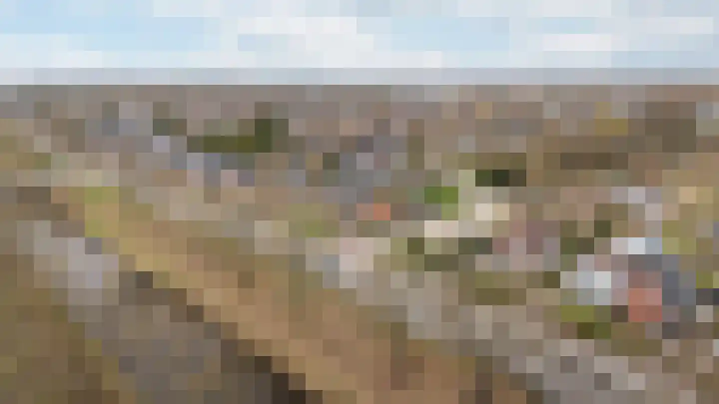 Van Echtenskanaal NZ 115 Klazienaveen thumbnail 62