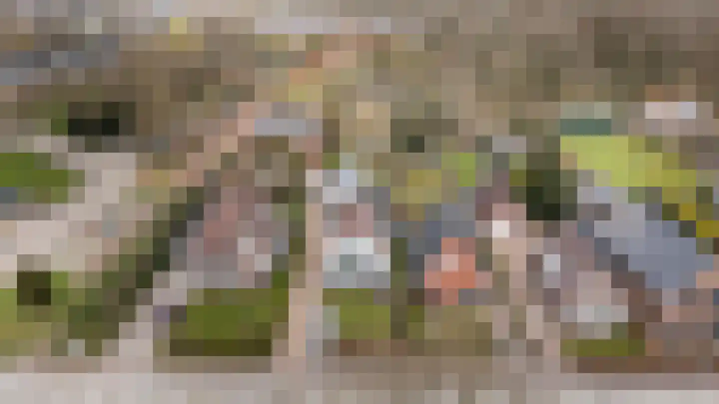 Van Echtenskanaal NZ 115 Klazienaveen thumbnail 63