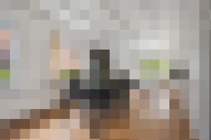 Van Echtenskanaal NZ 117 Klazienaveen thumbnail 11
