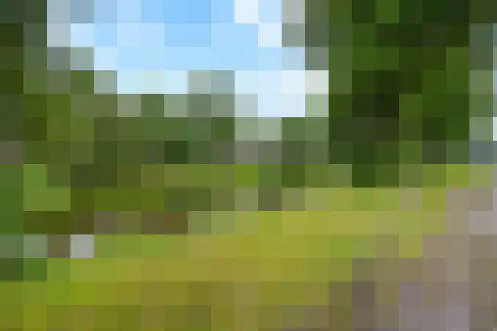 Van Echtenskanaal NZ 117 Klazienaveen thumbnail 28