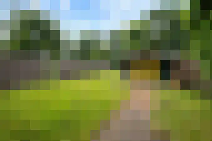 Van Echtenskanaal NZ 117 Klazienaveen thumbnail 35