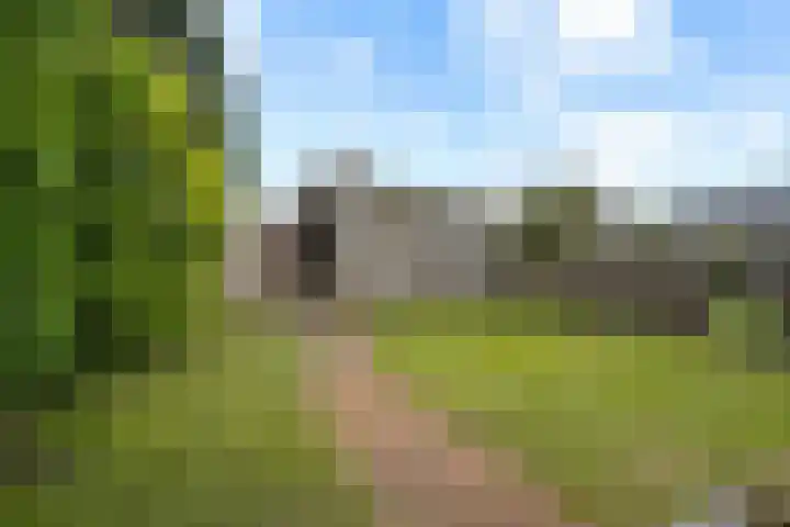 Van Echtenskanaal NZ 117 Klazienaveen thumbnail 36