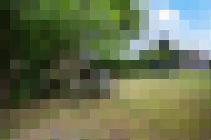 Van Echtenskanaal NZ 117 Klazienaveen thumbnail 37