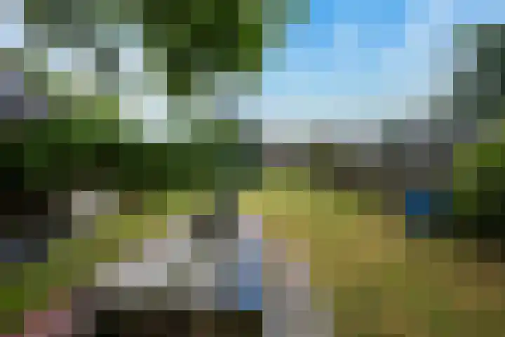 Van Echtenskanaal NZ 117 Klazienaveen thumbnail 39