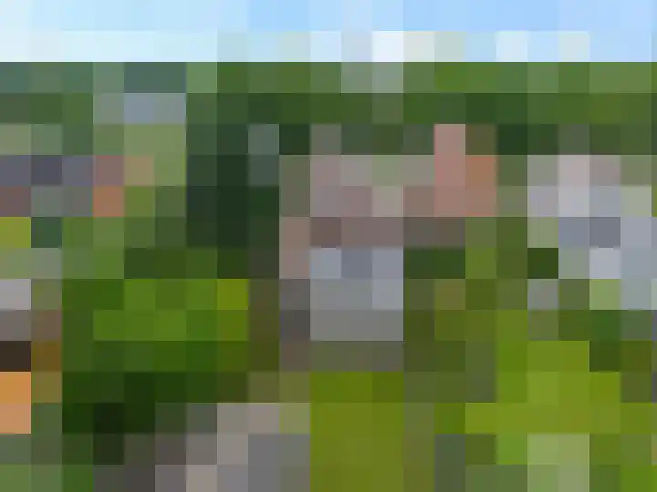 Van Echtenskanaal NZ 117 Klazienaveen thumbnail 40