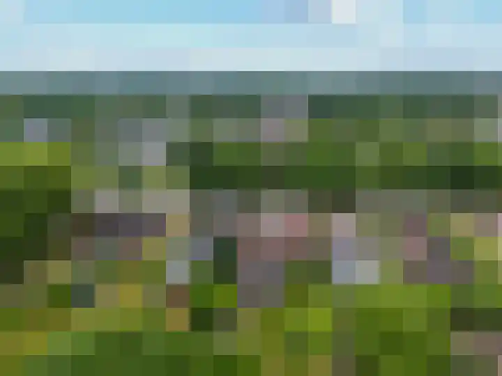 Van Echtenskanaal NZ 117 Klazienaveen thumbnail 41