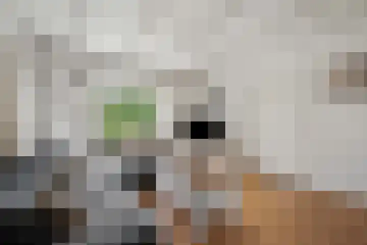 Van Echtenskanaal NZ 117 Klazienaveen thumbnail 8