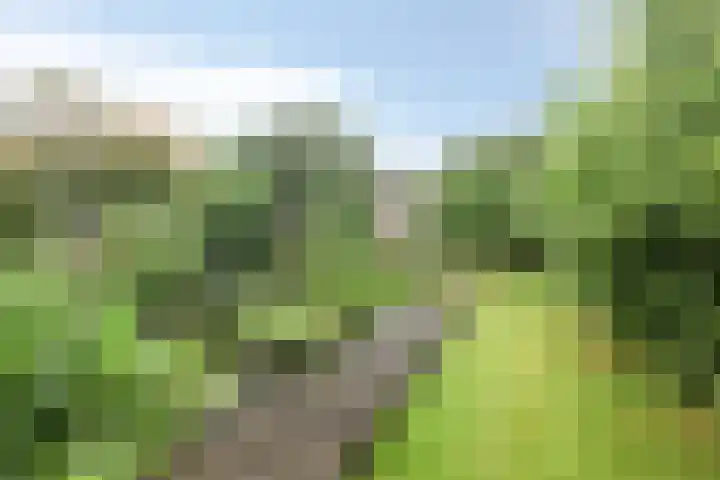 Van Echtenskanaal NZ 180 Klazienaveen thumbnail 40
