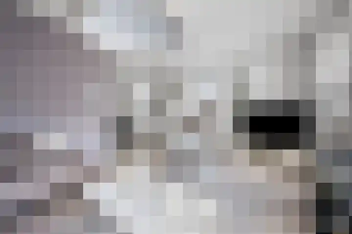 Van Echtenskanaal NZ 500 Klazienaveen thumbnail 13