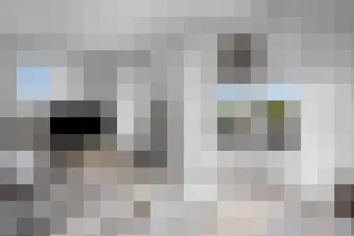 Van Echtenskanaal NZ 500 Klazienaveen thumbnail 14