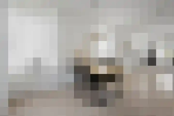 Van Echtenskanaal NZ 500 Klazienaveen thumbnail 5