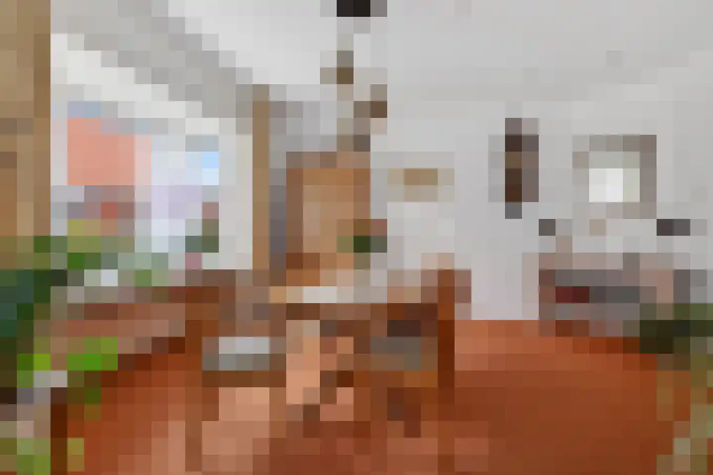 Van Echtenskanaal NZ 53 Klazienaveen thumbnail 7