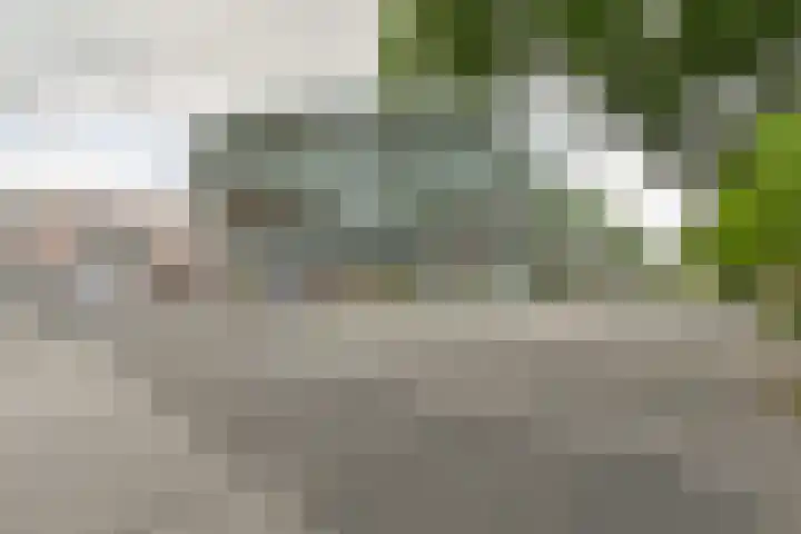 Van Echtenskanaal NZ 609 Klazienaveen thumbnail 4