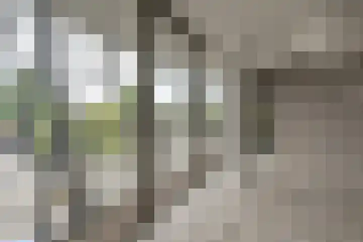 Van Echtenskanaal NZ 609 Klazienaveen thumbnail 47