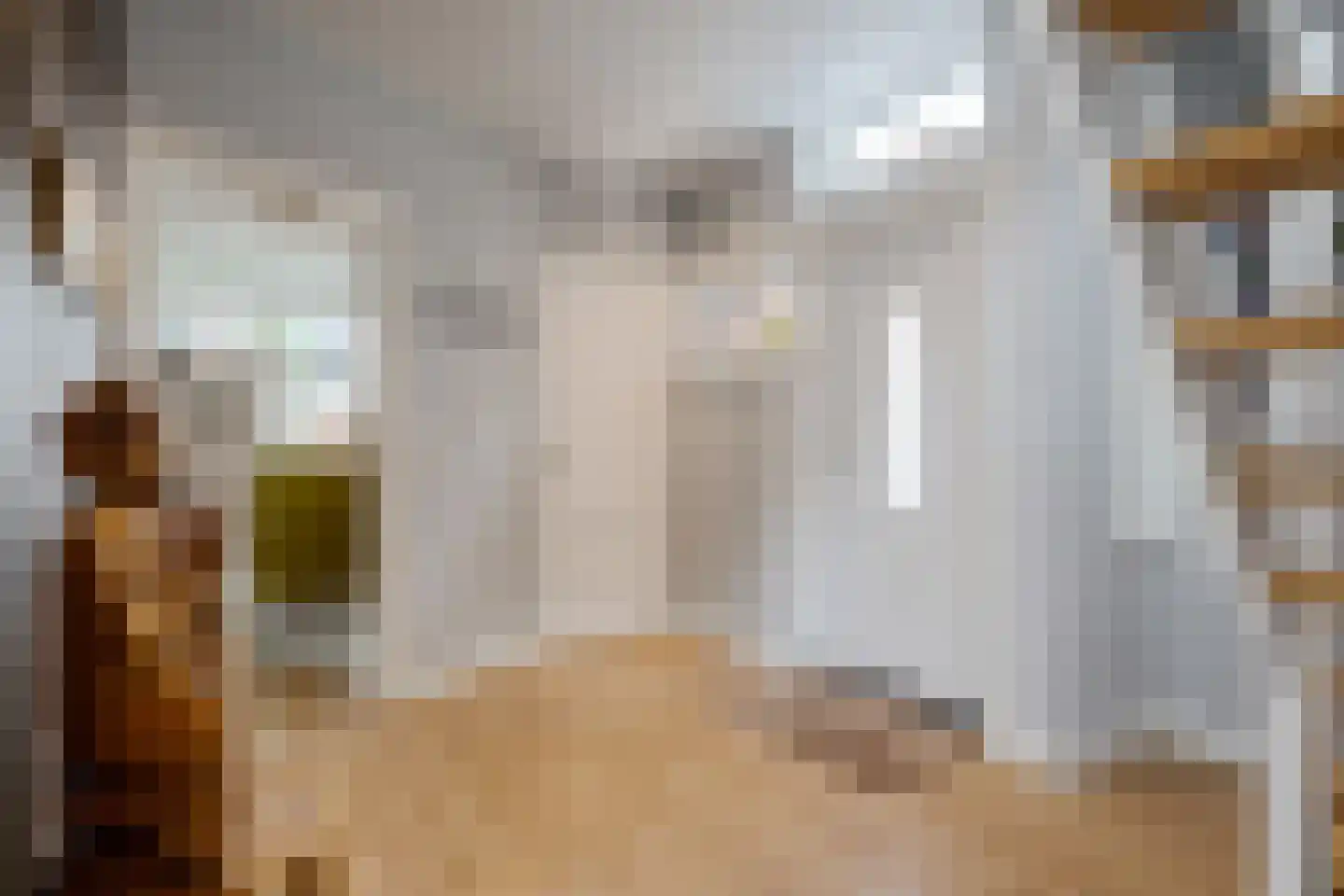 van Echtenstraat 106 Hoogeveen thumbnail 10