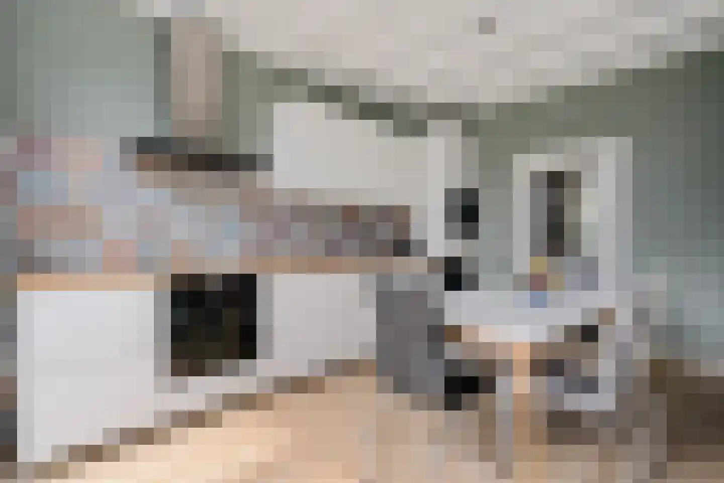 van Echtenstraat 106 Hoogeveen thumbnail 16