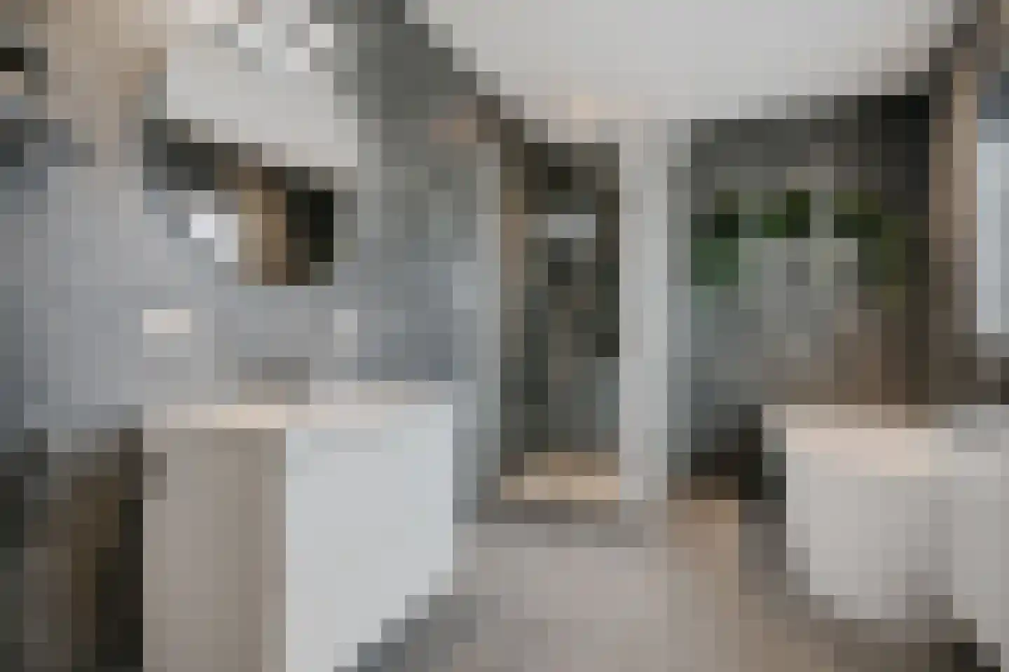 van Echtenstraat 106 Hoogeveen thumbnail 22