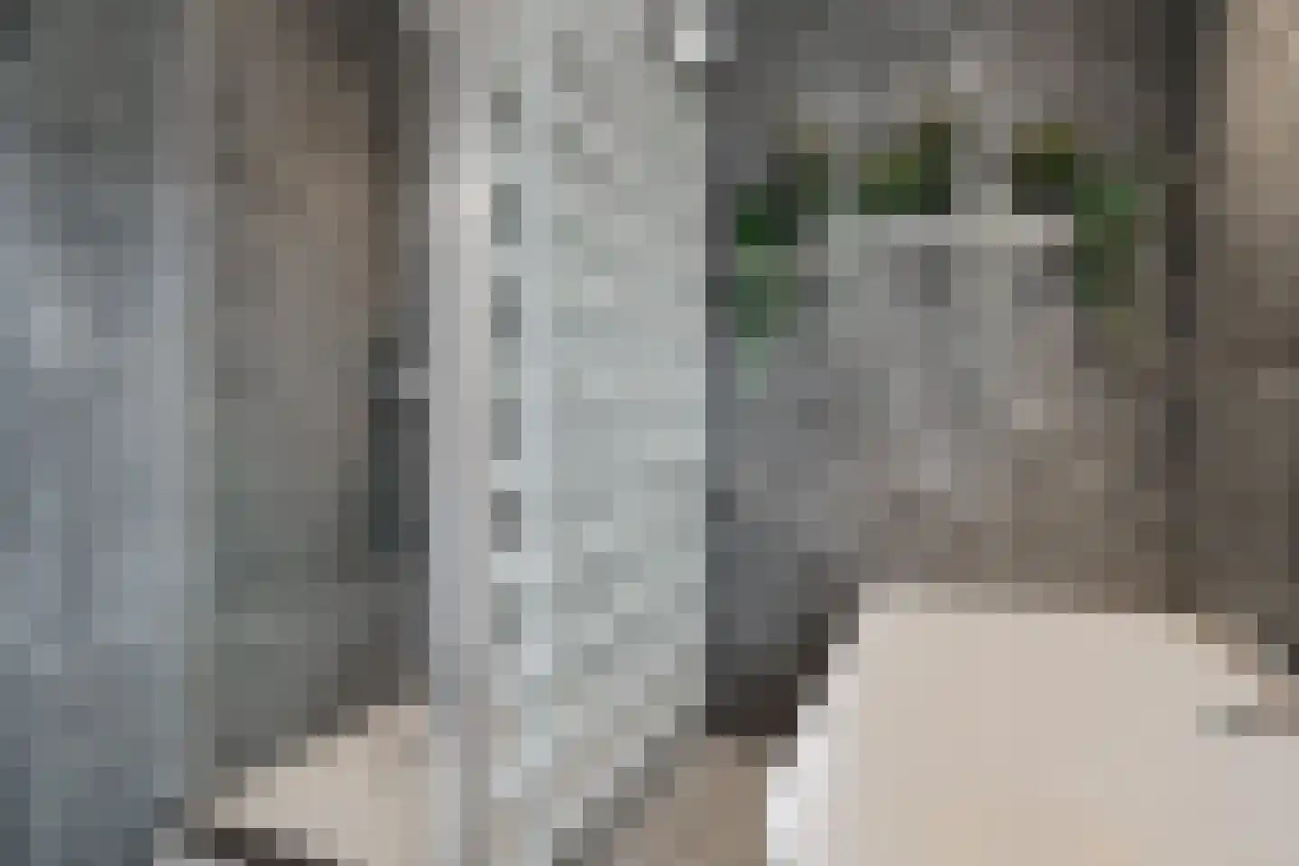 van Echtenstraat 106 Hoogeveen thumbnail 23