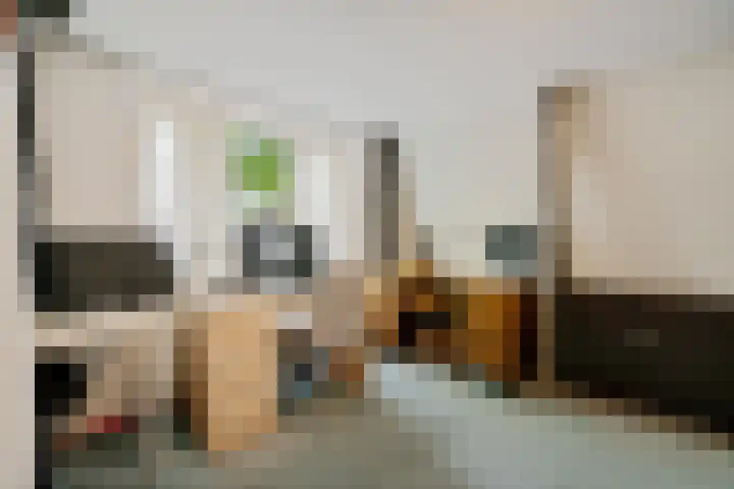 van Echtenstraat 106 Hoogeveen thumbnail 27