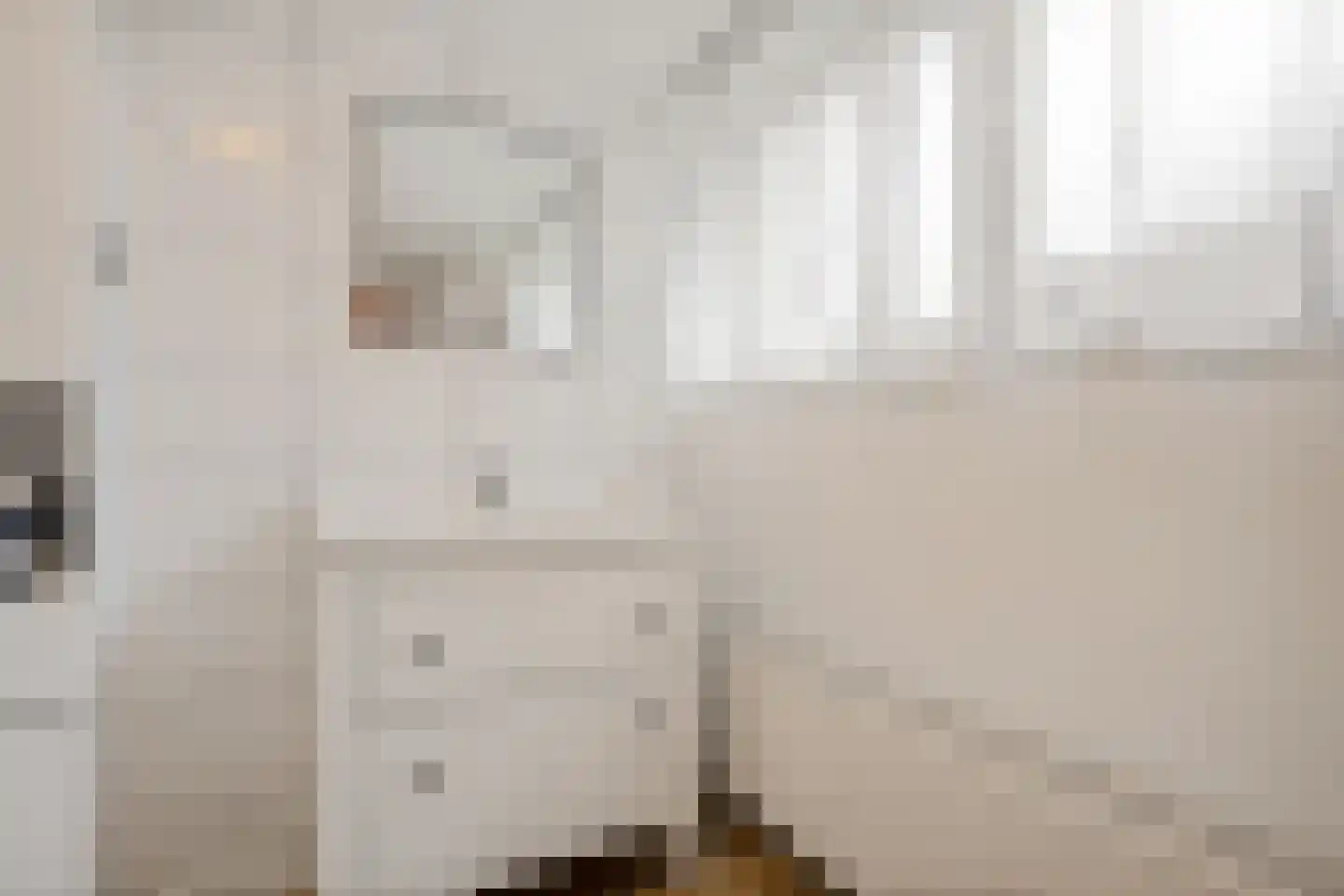 van Echtenstraat 106 Hoogeveen thumbnail 30