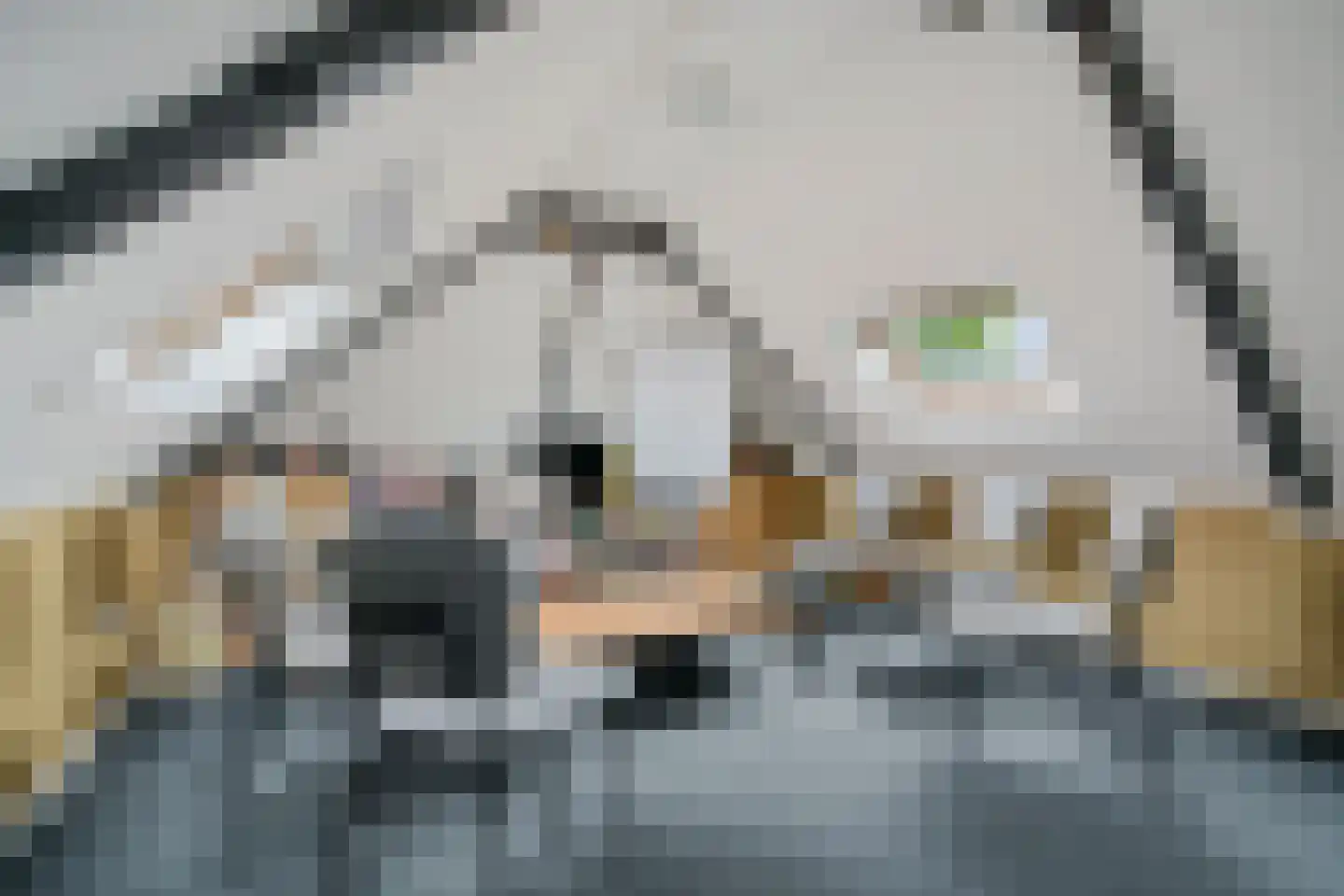 van Echtenstraat 106 Hoogeveen thumbnail 34