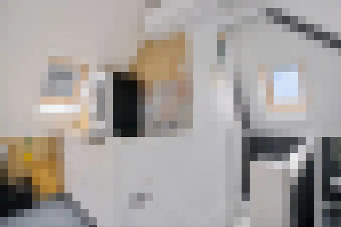 van Echtenstraat 106 Hoogeveen thumbnail 36