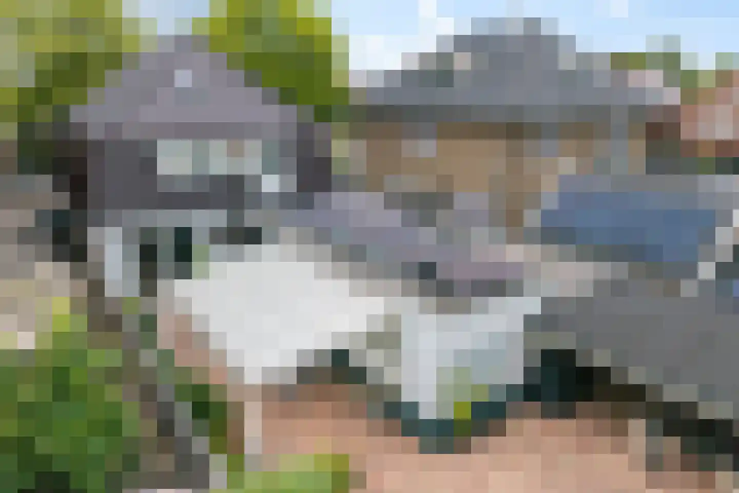 van Echtenstraat 106 Hoogeveen thumbnail 46