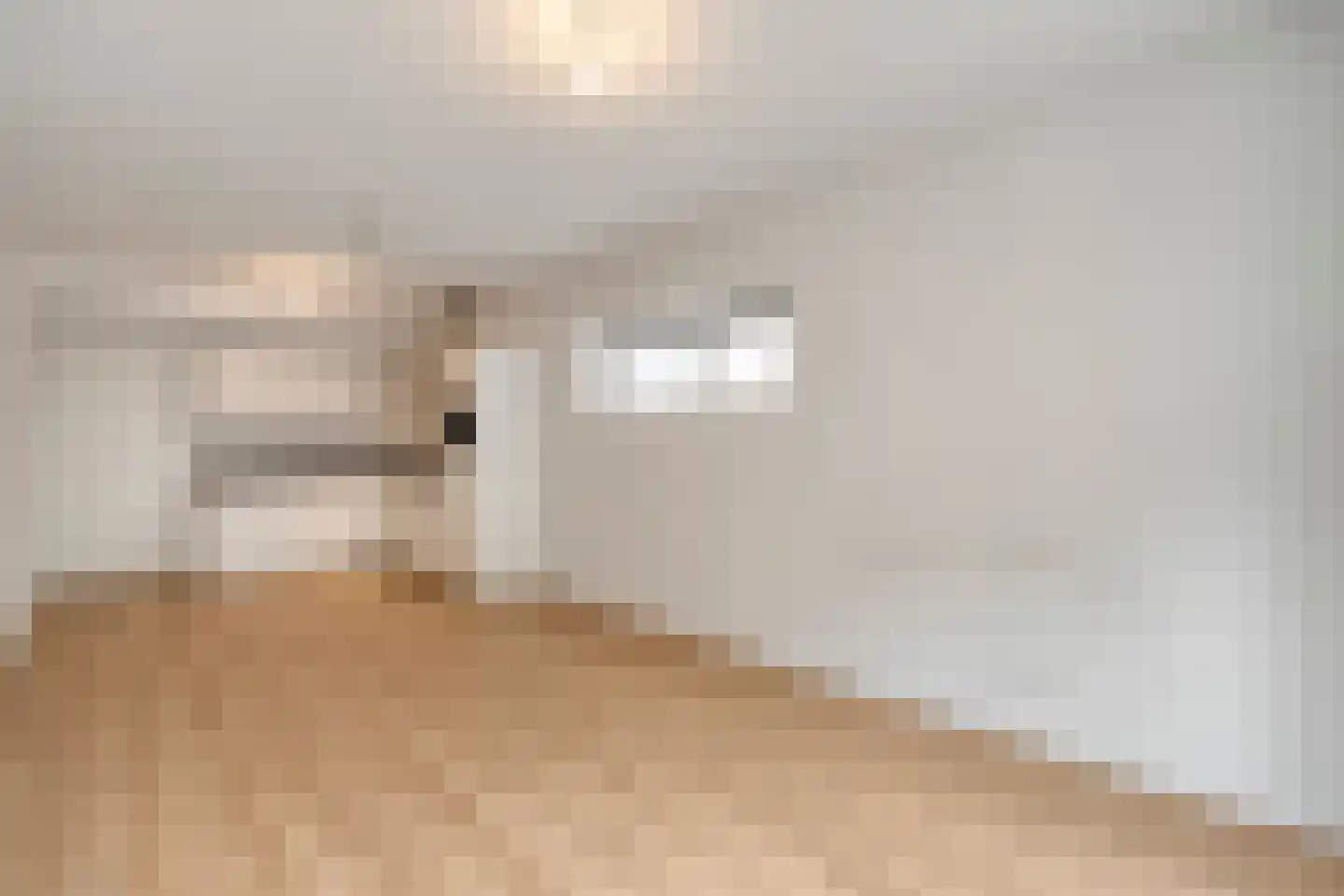van Echtenstraat 16 01 Hoogeveen thumbnail 10